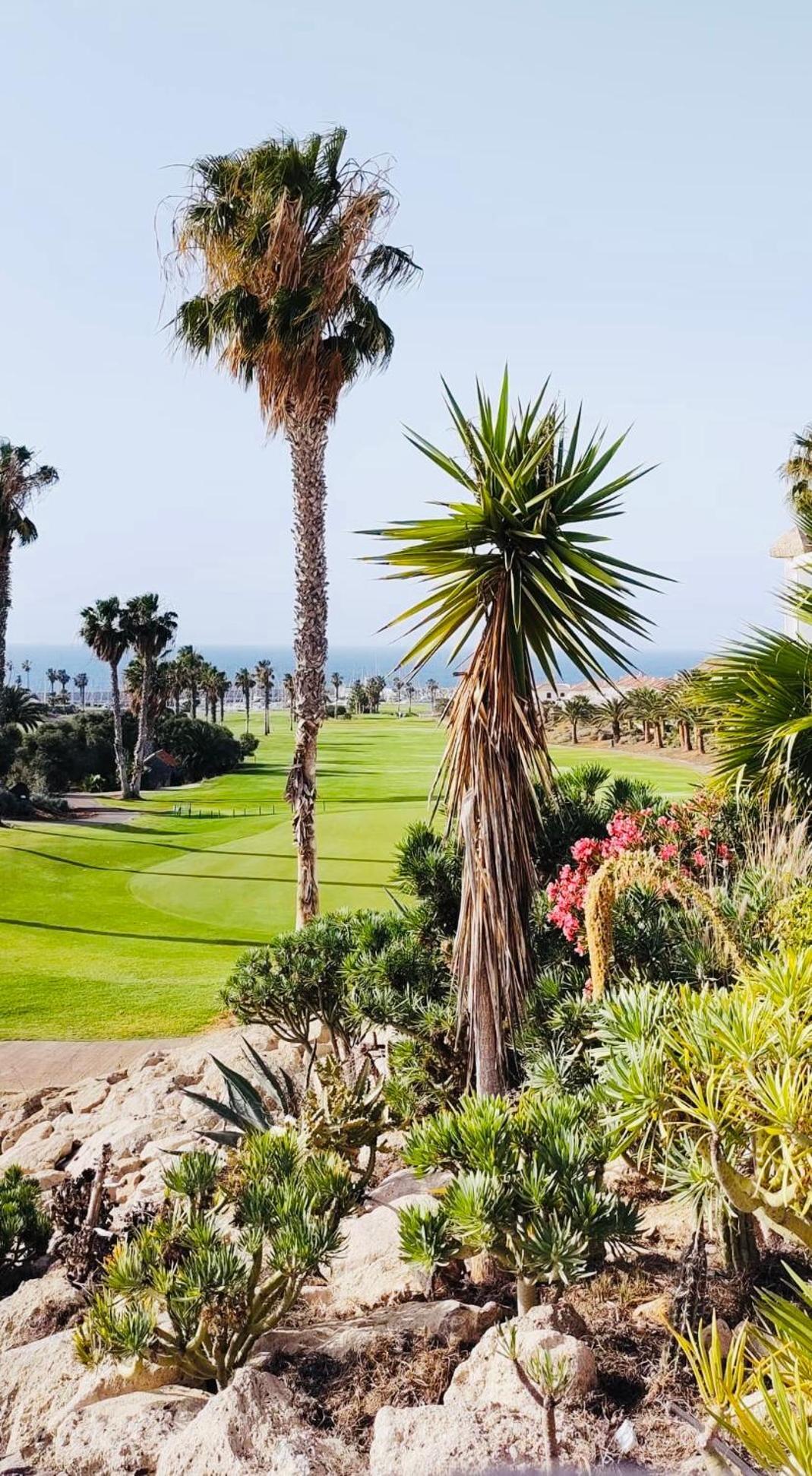 Amarilla Golf Leilighet San Miguel de Abona Eksteriør bilde